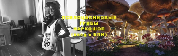 не бодяженный Горно-Алтайск