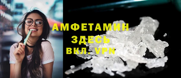 индика Вязьма