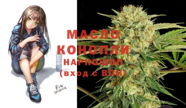 индика Вязьма