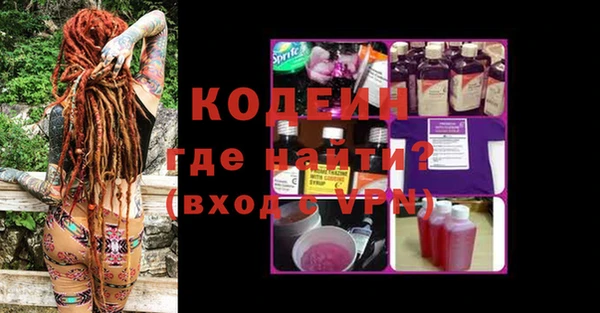 индика Вязьма