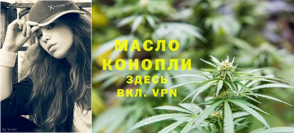 индика Вязьма