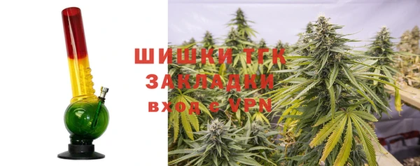 индика Вязьма