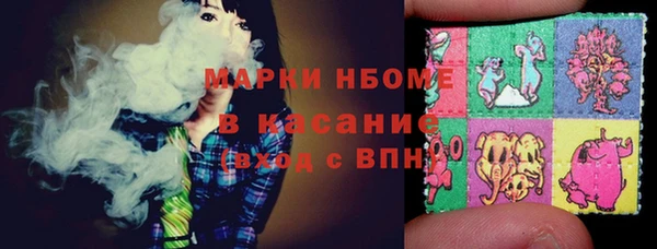 индика Вязьма