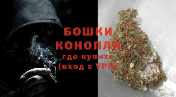 не бодяженный Горно-Алтайск