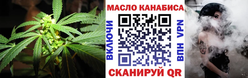 ТГК THC oil  Купить закладки  Северодвинск 